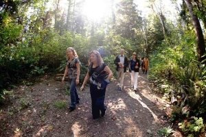 Guided Nature Walk