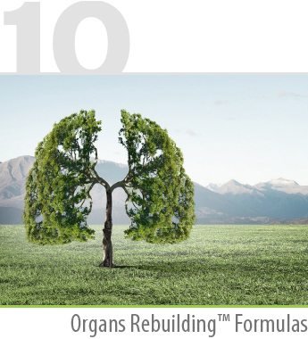 Organs Rebuilding™ Formulas
