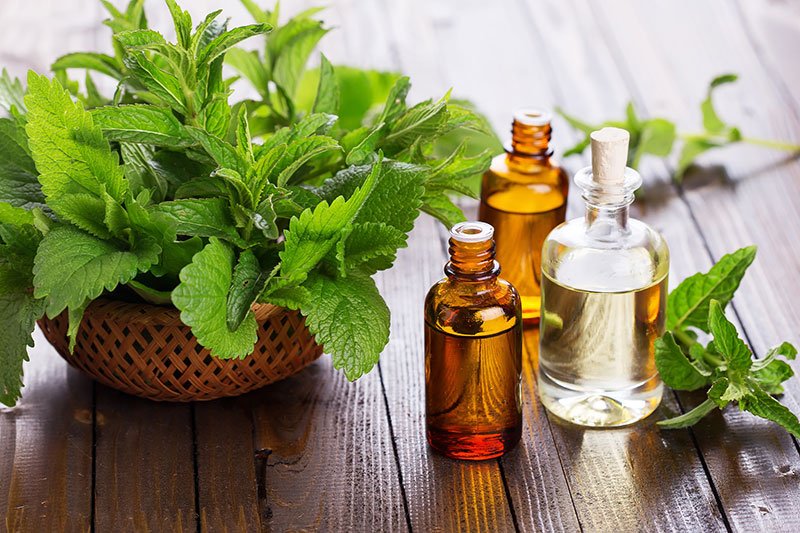 Herbal-Preparation Fresh Start Healing - Healthy eating habits