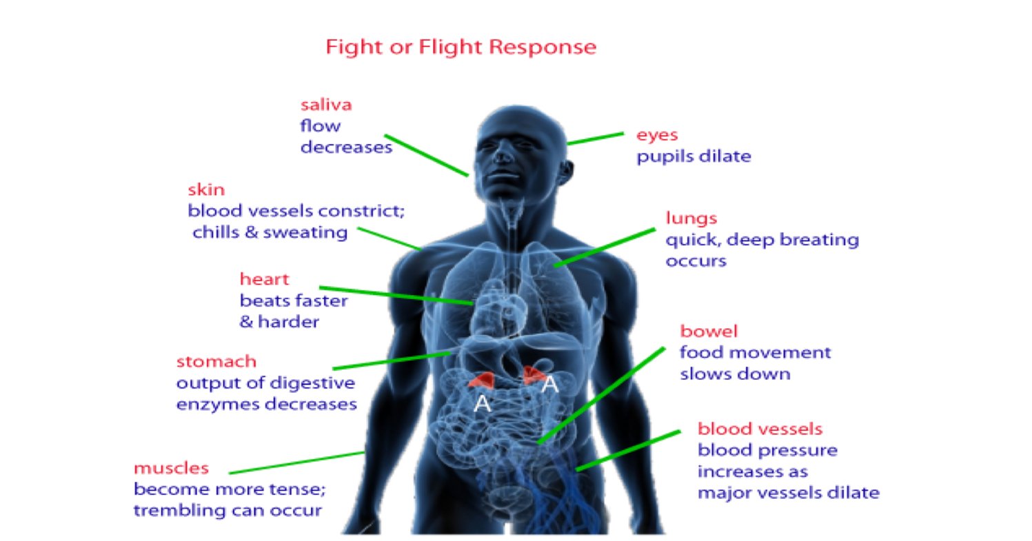 Effects of fear on body