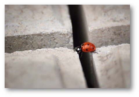 What to do with fear