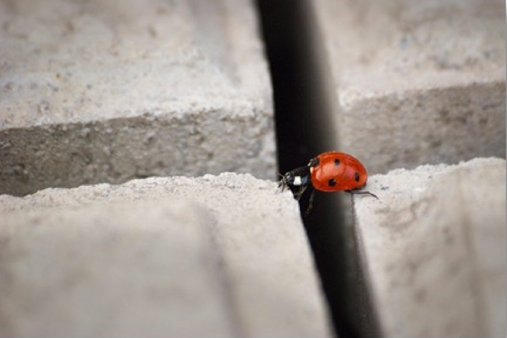 What to do with fear What to do with fear