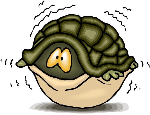 turtle in shell Fear can save your life